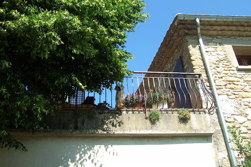 2011-05- (1502).JPG